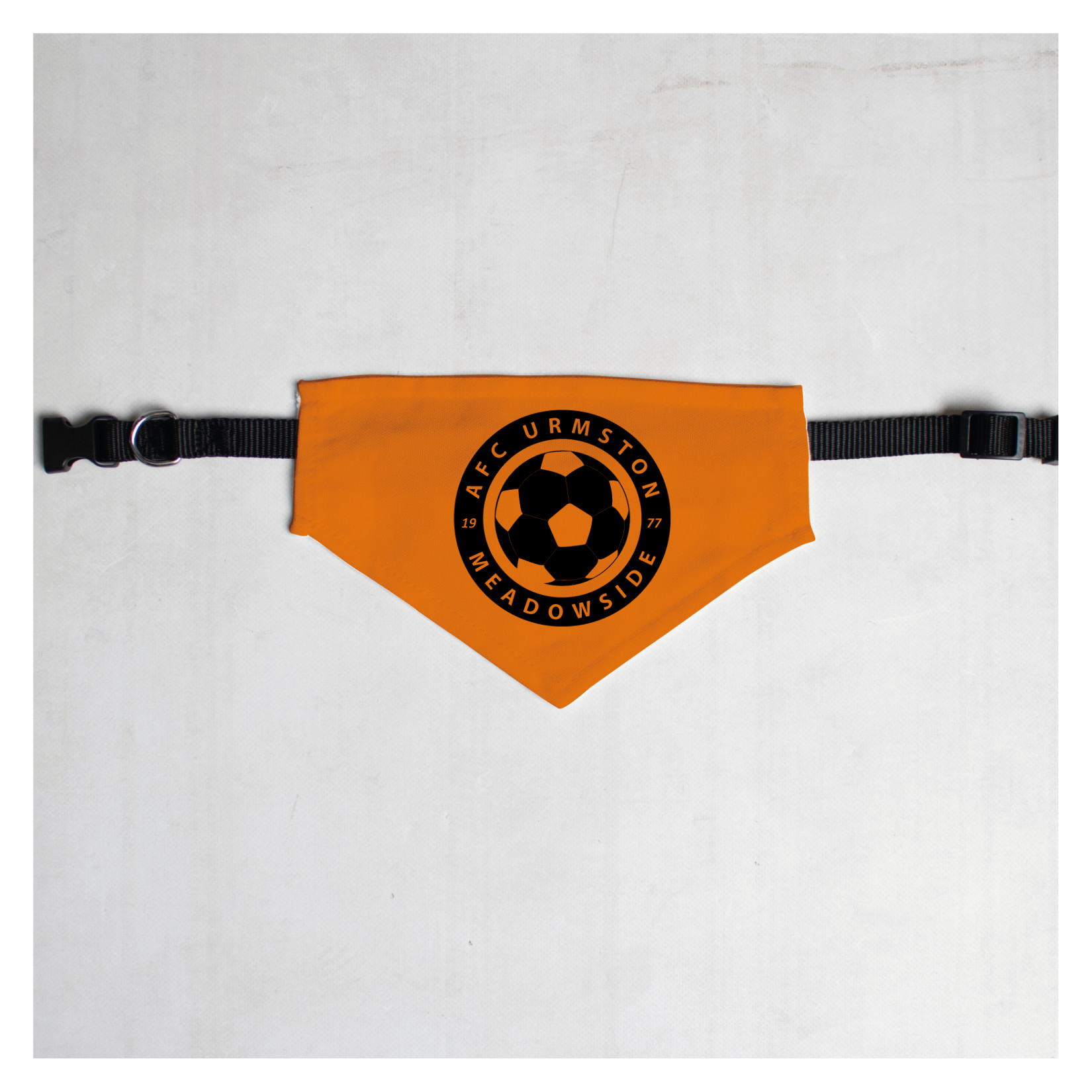 Pet Bandana with Black Collar