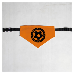 Pet Bandana with Black Collar