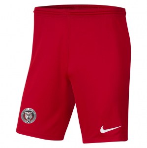 Nike Dri-FIT Park III Shorts