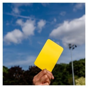 Referee Data Wallet