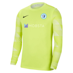 Nike Park IV Goalkeeper Dri-FIT Jersey