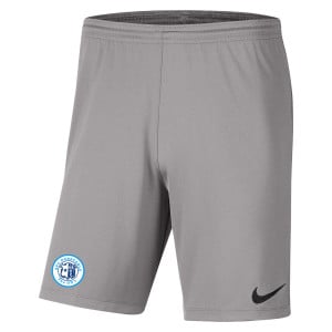 Nike Park III Shorts Pewter Grey-Black