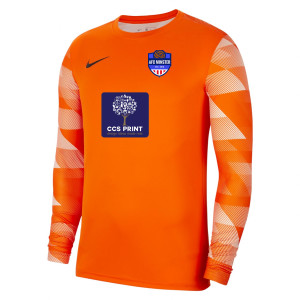 Nike Park IV Goalkeeper Dri-FIT Jersey