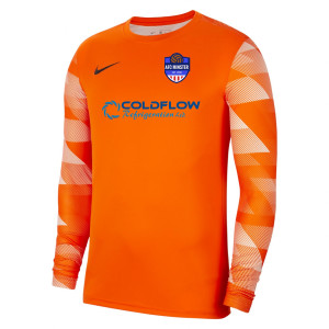 Nike Park IV Goalkeeper Dri-FIT Jersey