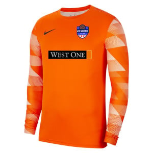 Nike Park IV Goalkeeper Dri-FIT Jersey