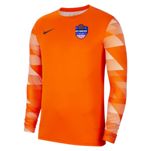 Nike Park IV Goalkeeper Dri-FIT Jersey