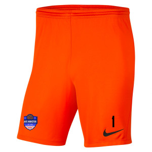 Nike Park III Shorts