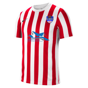 Nike Striped Division IV Short Sleeve Jersey