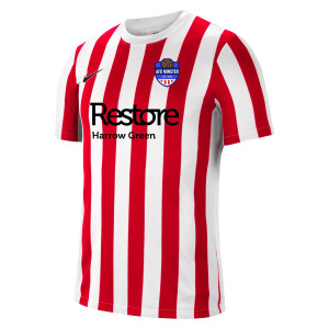 Nike Striped Division IV Short Sleeve Jersey
