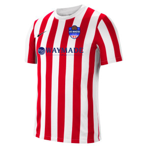 Nike Striped Division IV Short Sleeve Jersey