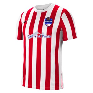 Nike Striped Division IV Short Sleeve Jersey