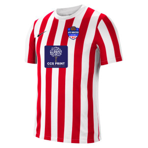 Nike Striped Division IV Short Sleeve Jersey