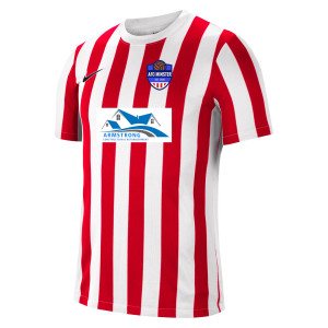 Nike Striped Division IV Short Sleeve Jersey