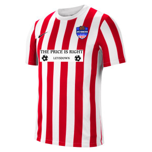 Nike Striped Division IV Short Sleeve Jersey