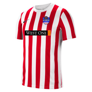 Nike Striped Division IV Short Sleeve Jersey