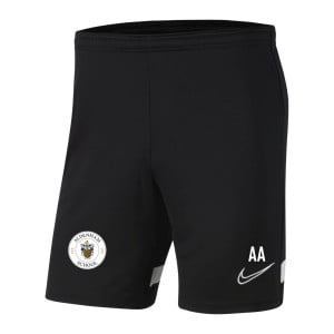 Nike Park III Shorts