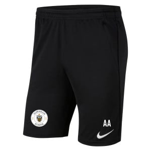 Nike Park 20 Pocketed Shorts (M)