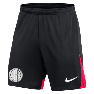 Nike Dri-FIT Academy Pro Shorts