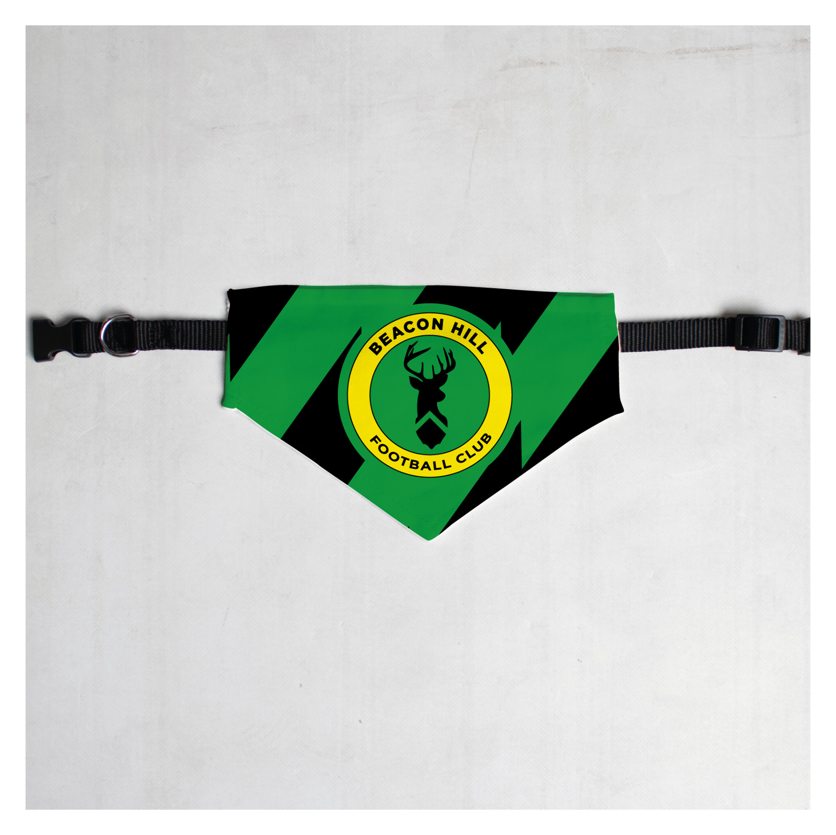 Pet Bandana with Black Collar