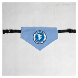 Pet Bandana with Black Collar