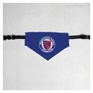 Pet Bandana with Black Collar