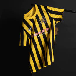 Westerlands-AFC-9