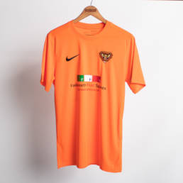 IMG-1