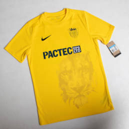 Whitehaven-AFC-9