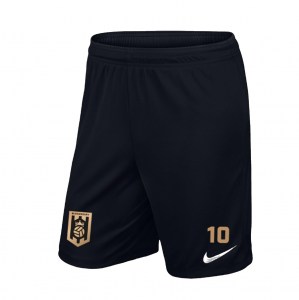 Nike Park III Shorts