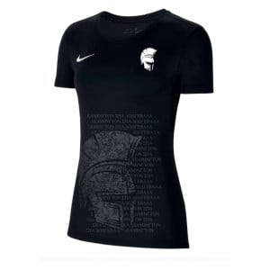 Nike Womens Park VII Dri-FIT Short Sleeve Shirt (W)