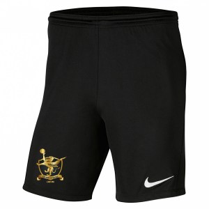 Nike Park III Shorts