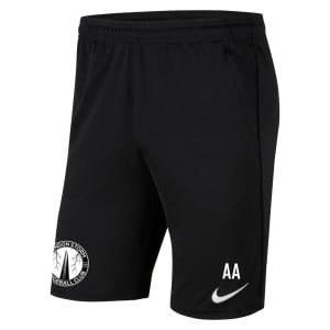 Nike Park 20 Pocketed Shorts (M)