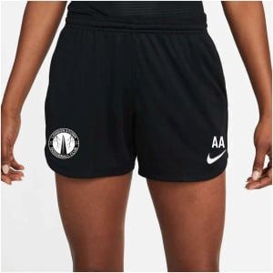 Nike Park 20 Pocketed Training Shorts (W)