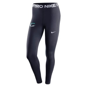 Nike Womens Pro 365 Tights