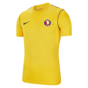 Nike Park 20 Short Sleeve Training Tee Tour Yellow-Black-Black