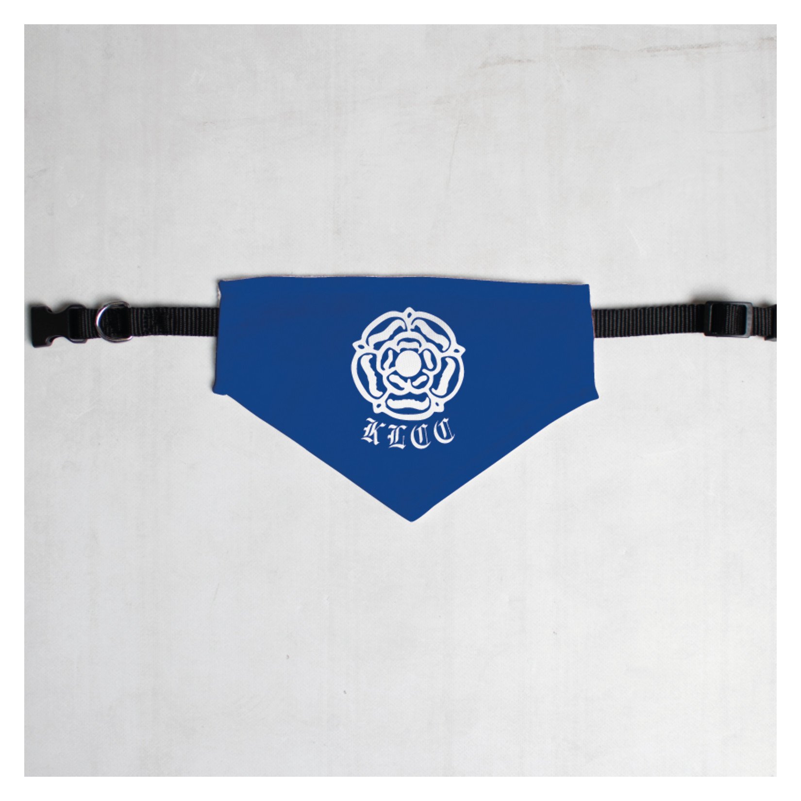 Pet Bandana with Black Collar