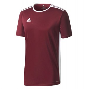 Adidas Entrada 18 Short Sleeve Shirt