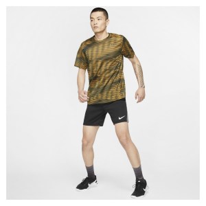 Nike Dri-FIT Training Shorts