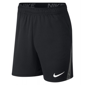 Nike Dri-FIT Training Shorts