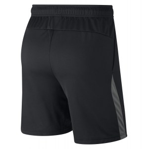 Nike Dri-FIT Training Shorts