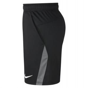 Nike Dri-FIT Training Shorts