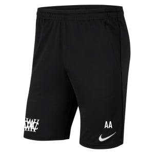 Nike Park 20 Pocketed Shorts (M)