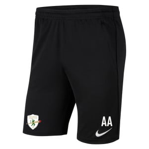 Nike Park 20 Pocketed Shorts (M)