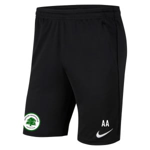 Nike Park 20 Pocketed Shorts (M)