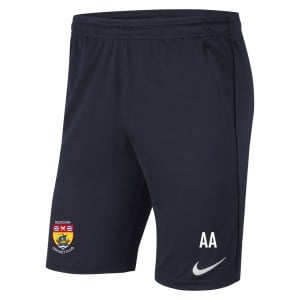 Nike Park 20 Pocketed Shorts (M)