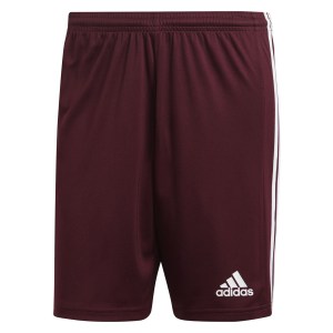 Adidas Squadra 21 Shorts (M)