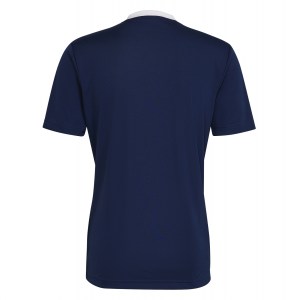 adidas Entrada 22 Short Sleeve Jersey