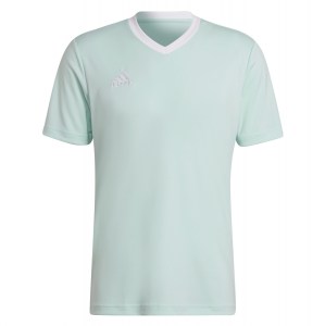 adidas Entrada 22 Short Sleeve Jersey Clear Mint