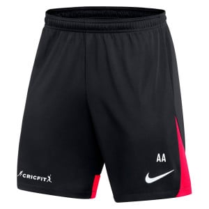 Nike Dri-FIT Academy Pro Shorts