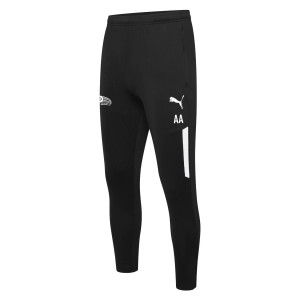 Puma teamLIGA Training Pro Pants